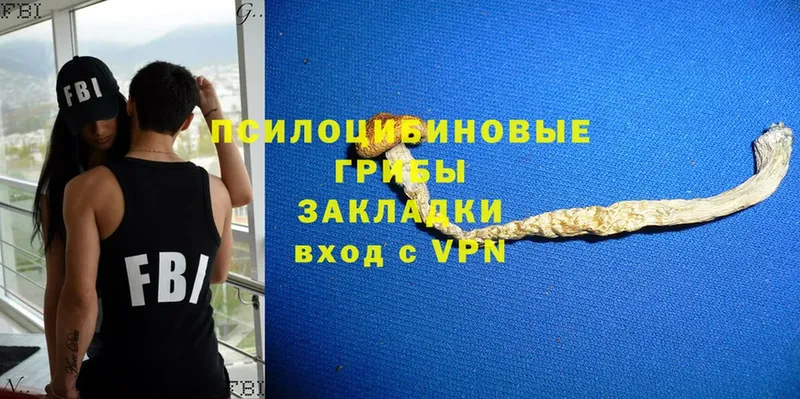 Галлюциногенные грибы ЛСД  Андреаполь 